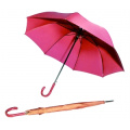 Auto Open Pure Farbe Straight Umbrella (BD-19)